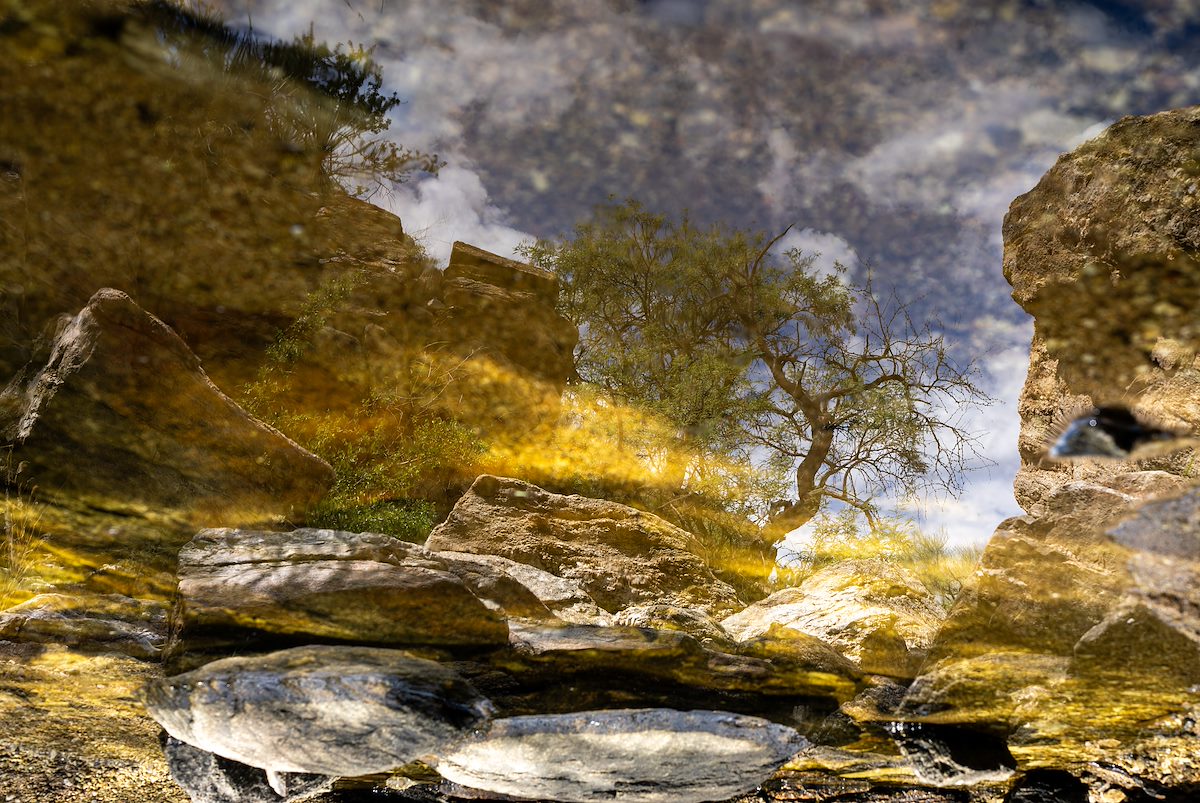 2024 August Tree, Rock and Water