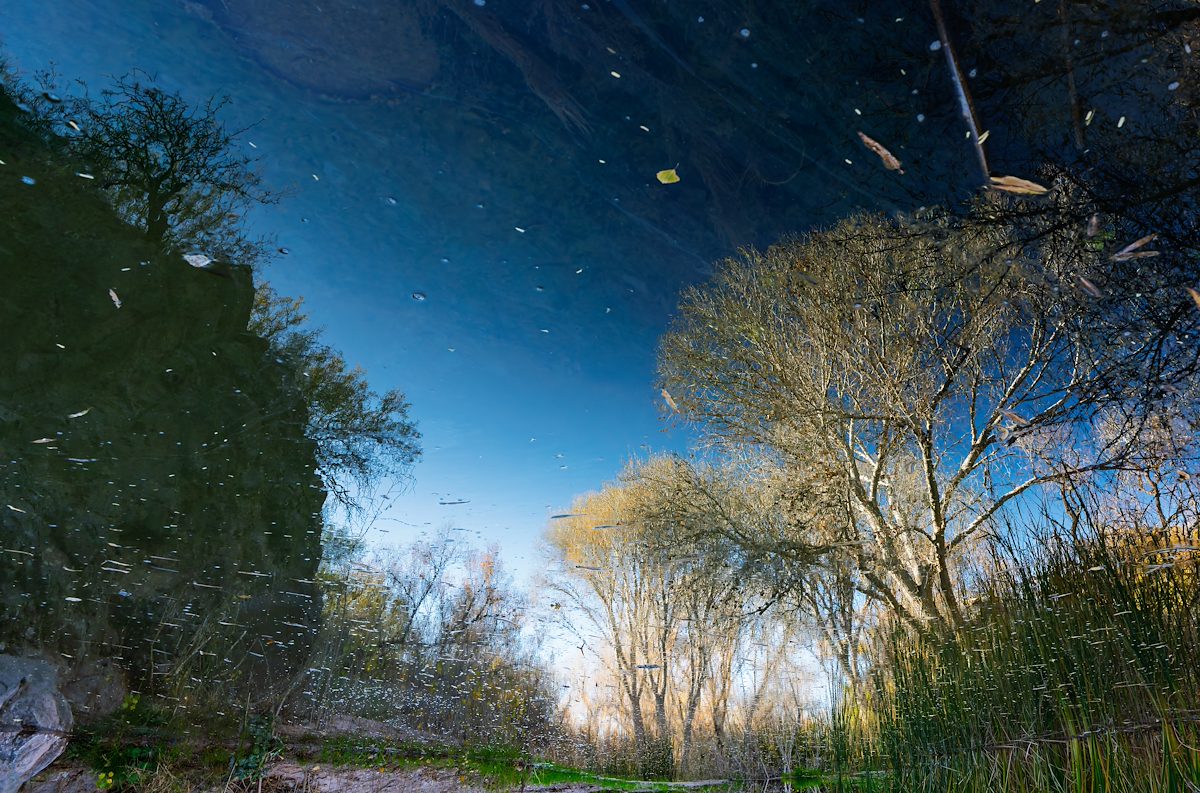 2024 December Cienega Creek Reflection