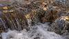 2024 December Rushing Water in Cienega Creek