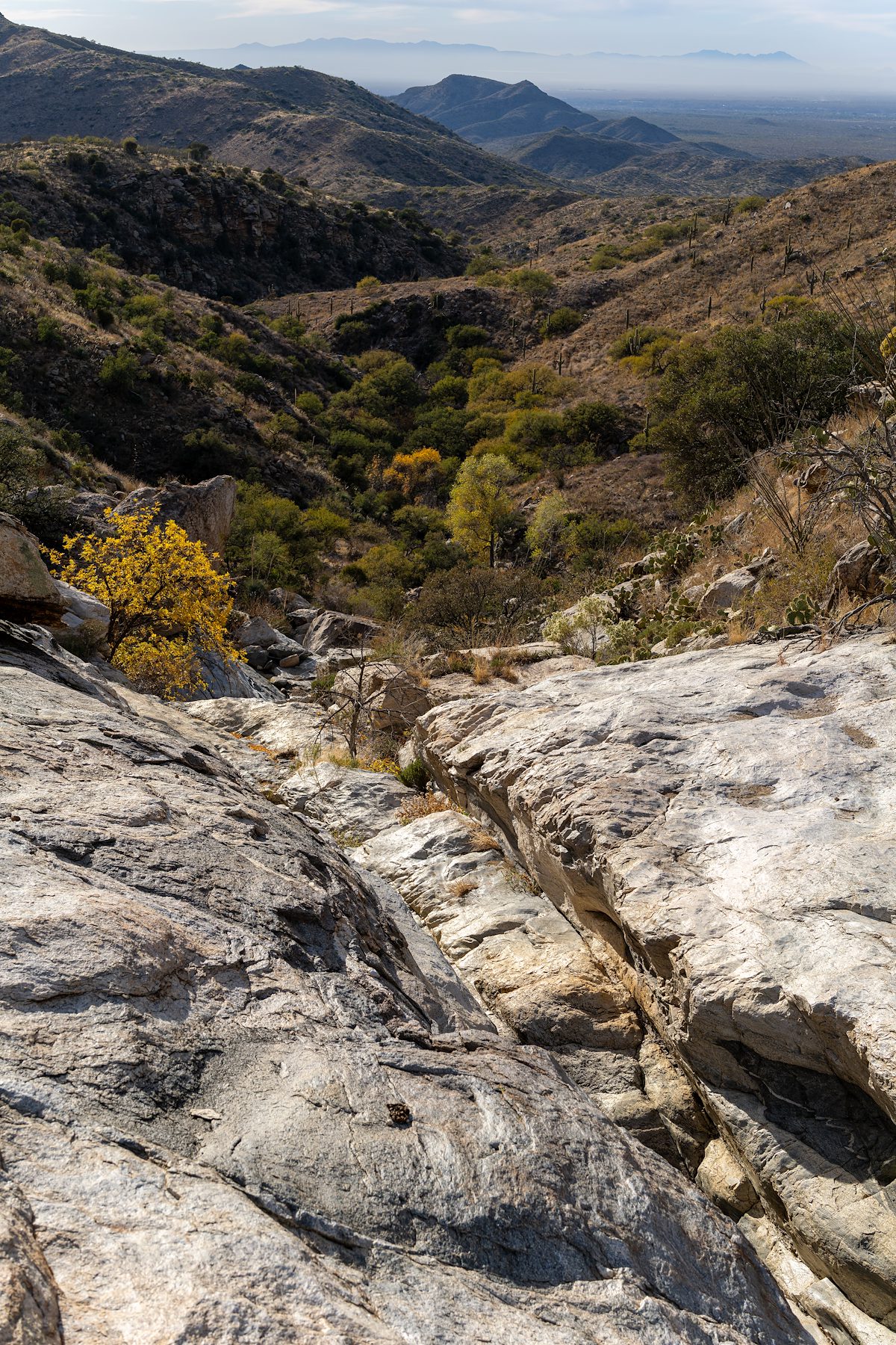 2024 December Stone Canyon and Hints of Fall Color