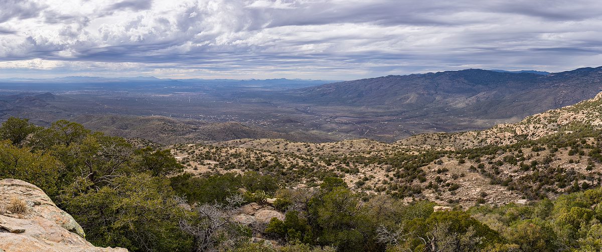 2024 February Rincon Valley