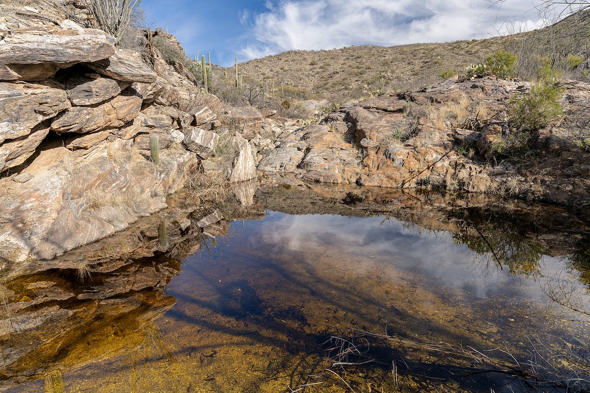 2024 January Canyon Reflections