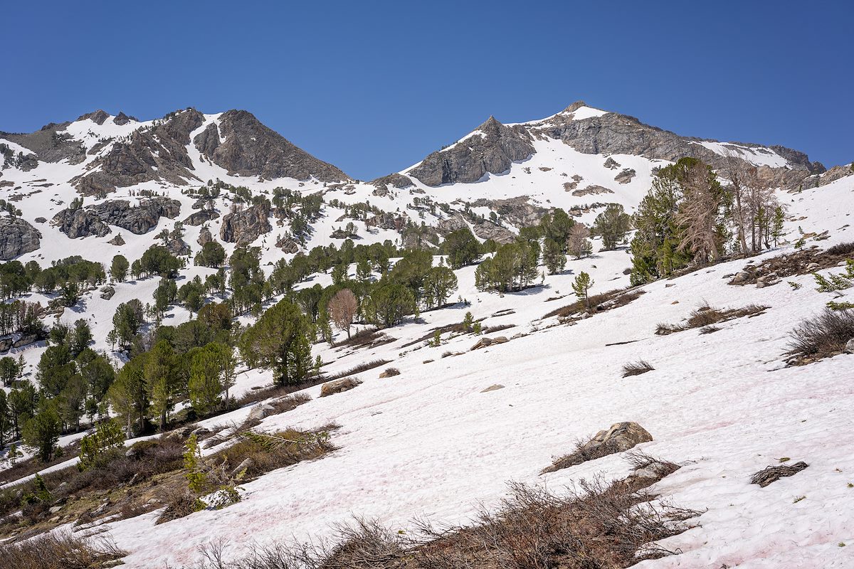 2024 June Liberty Peak from a snowy Lamoille Stock Trail