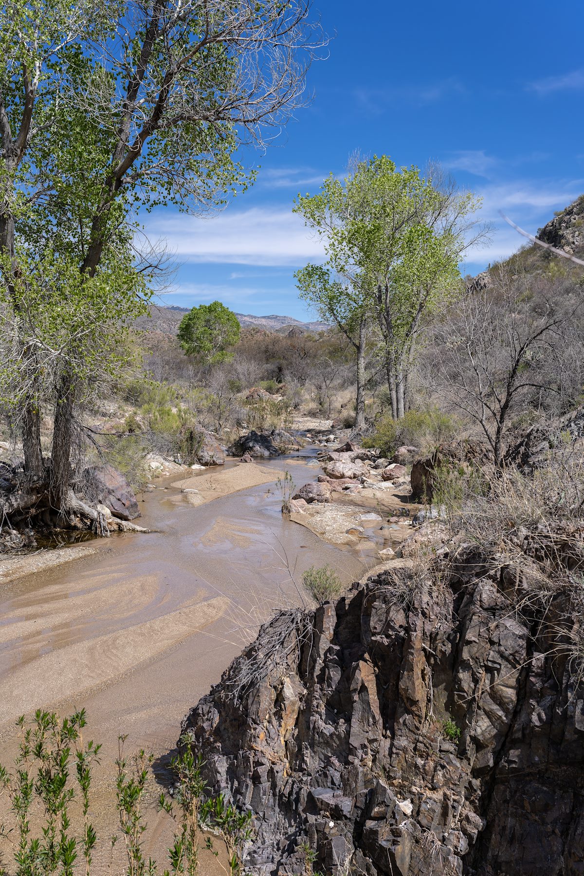 2024 March Shallow Water, Sand and Cottonwoods