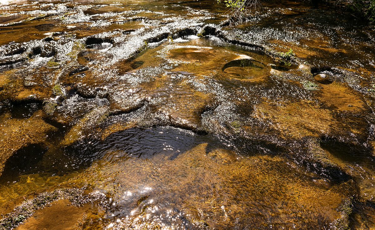 2024 May Carved Creek Bottom