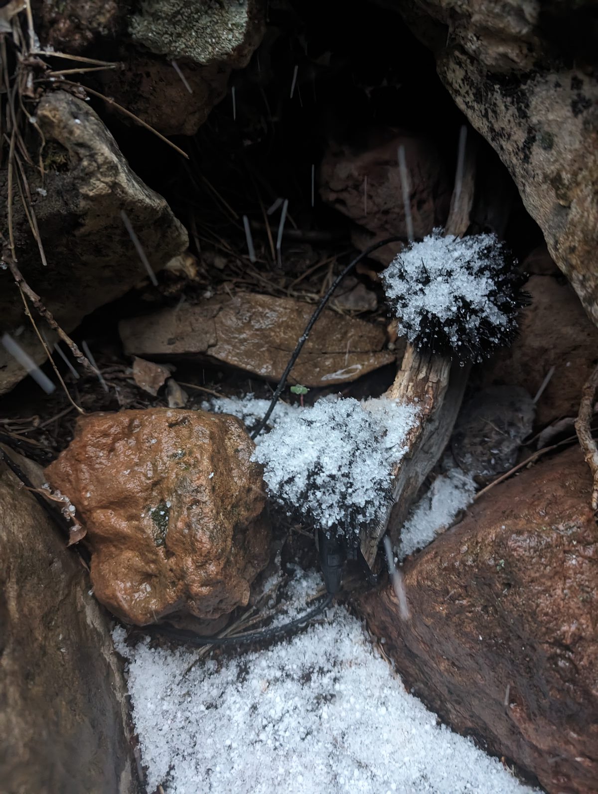 2024 May Microphones in a Snow Storm