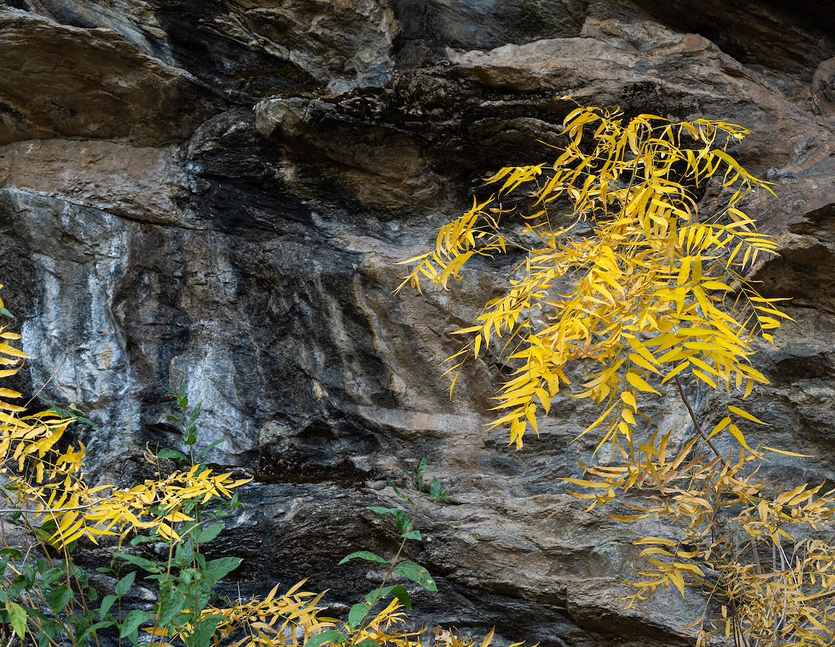 2024 November Fall Colors and Stone at Bridal Wreath Fall