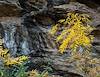 2024 November Fall Colors and Stone at Bridal Wreath Fall