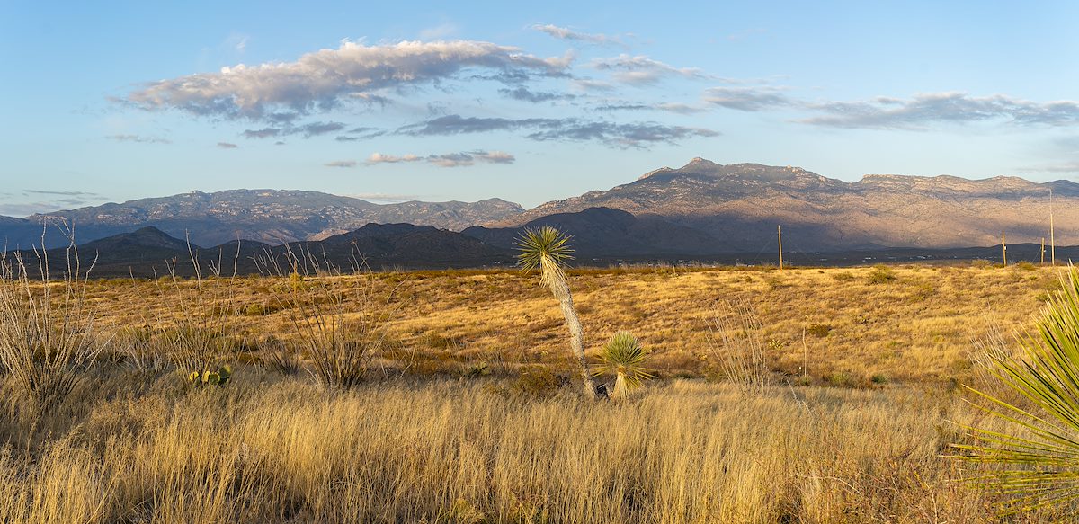 2024 November South of the Rincon Mountains near the Arizona Trail