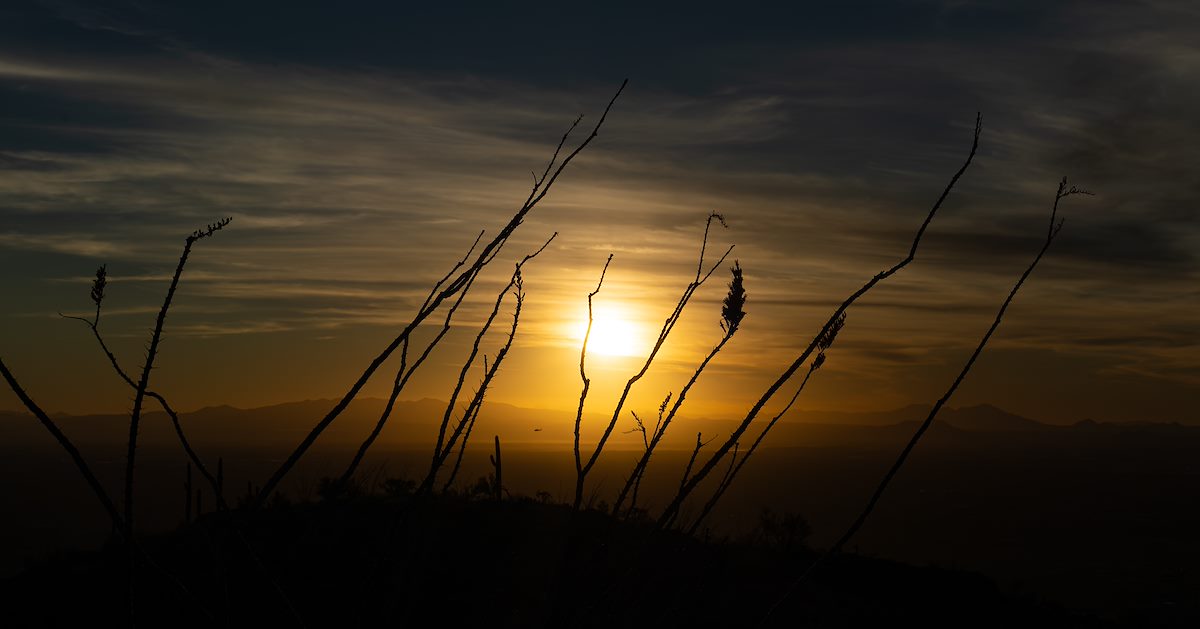 2024 November Sunset from Tanque Verde Ridge