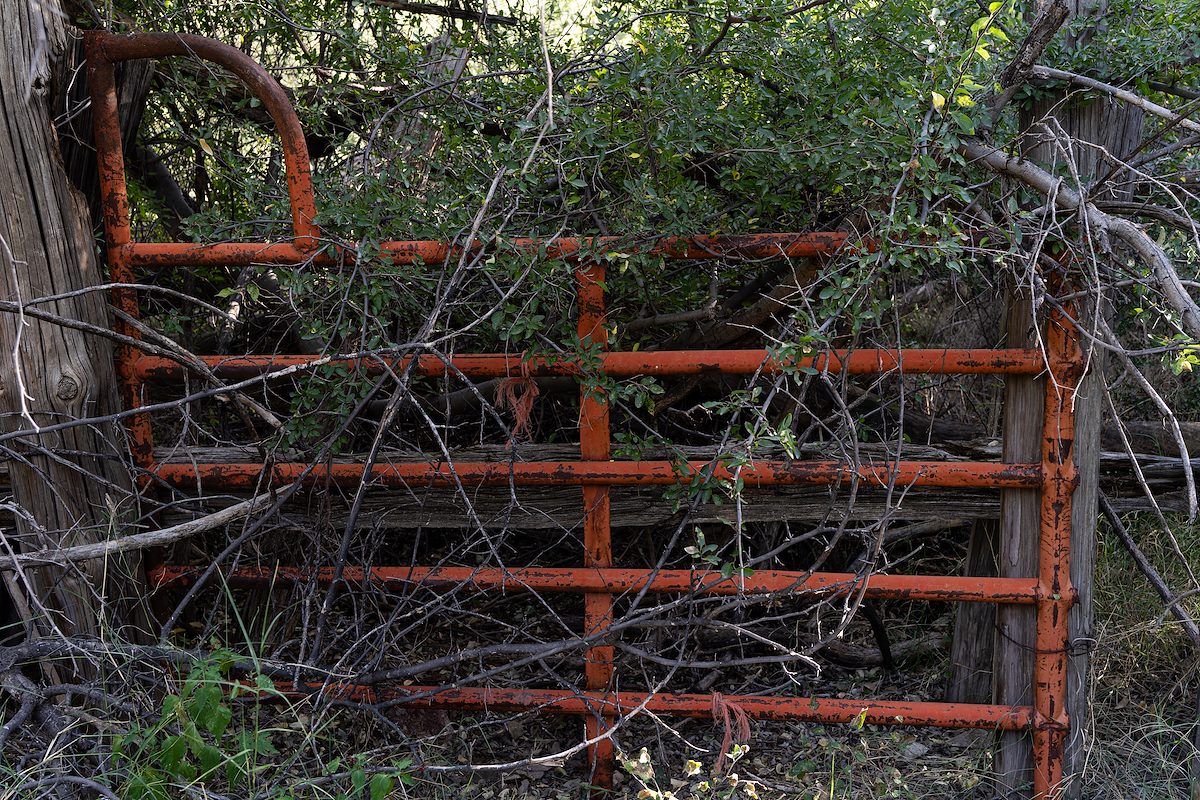 2024 October Old Gate