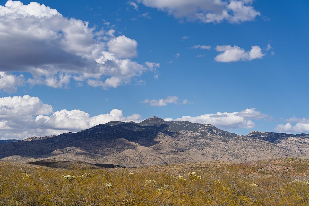 2025 April Creosote and Rincon Mountains