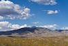 2025 April Creosote and Rincon Mountains