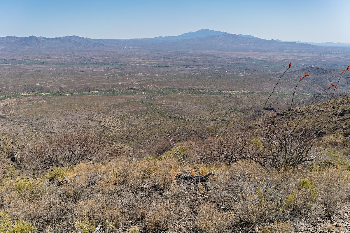 2025 April Looking over Agua Verde Creel to the Santa Rita Mountains