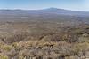 2025 April Looking over Agua Verde Creel to the Santa Rita Mountains