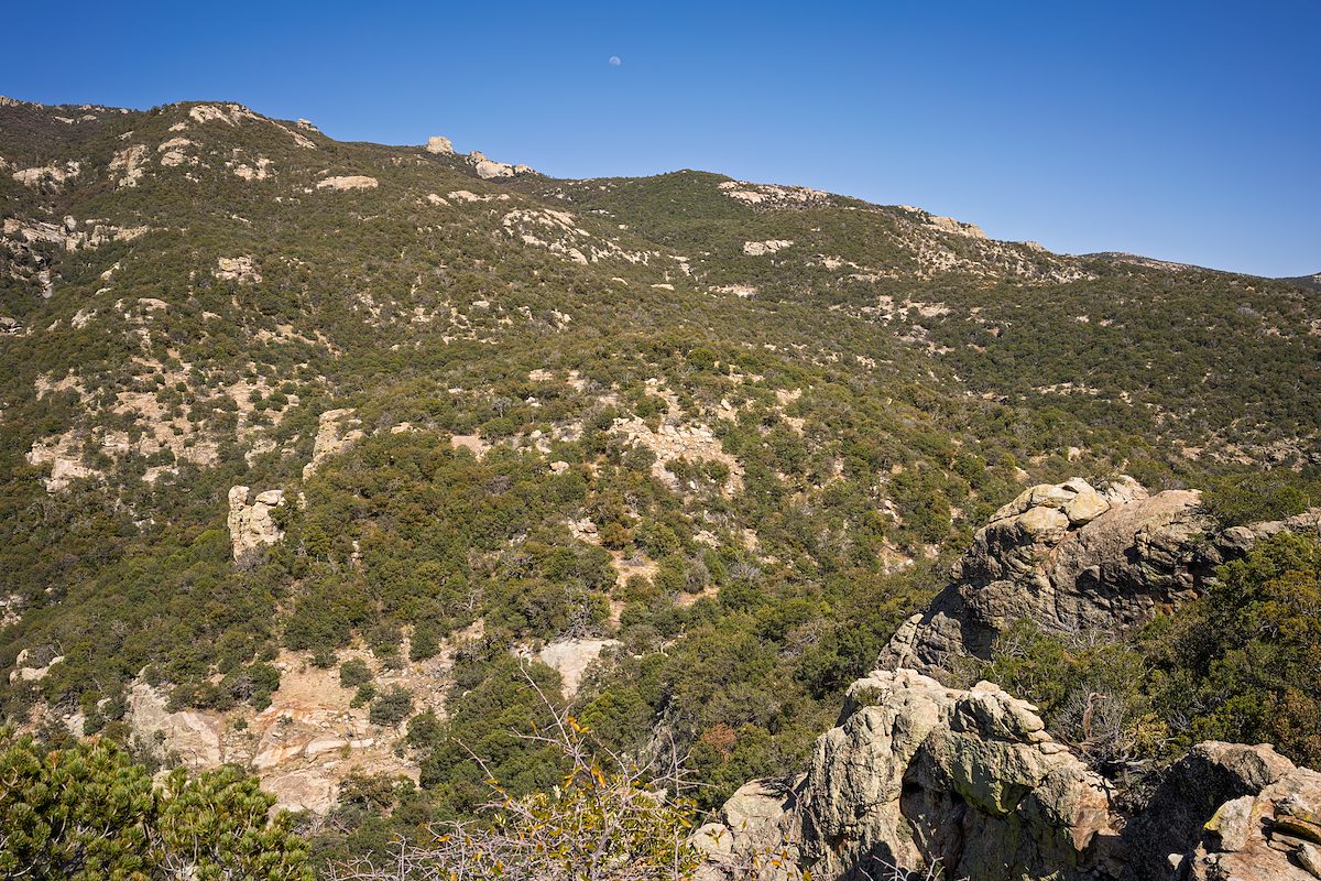 2025 April Looking up the Rincons from the 6400 Pinnacle