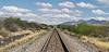 2025 April On the Tracks