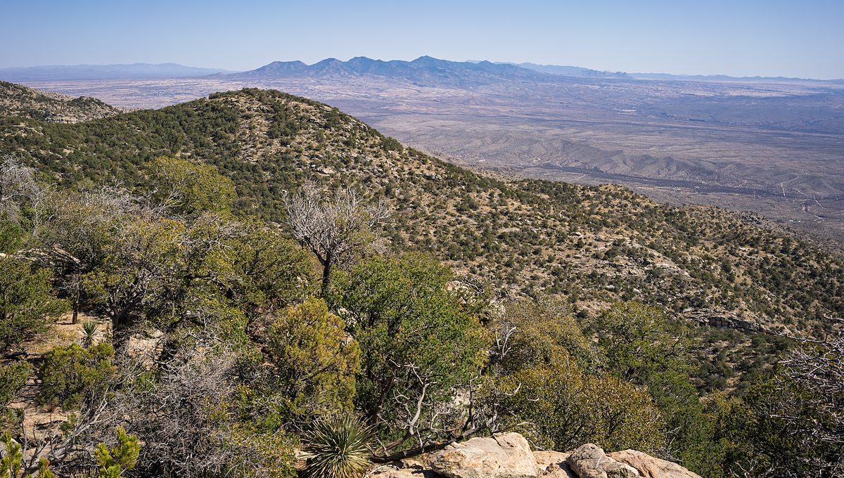 2025 April Whetstone Mountains from the 6400 Pinnacle