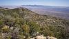 2025 April Whetstone Mountains from the 6400 Pinnacle