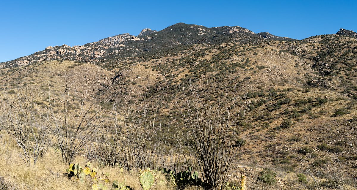 2025 December Hills