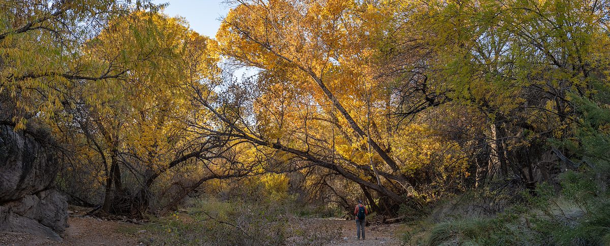 2025 December In Cienega Creek