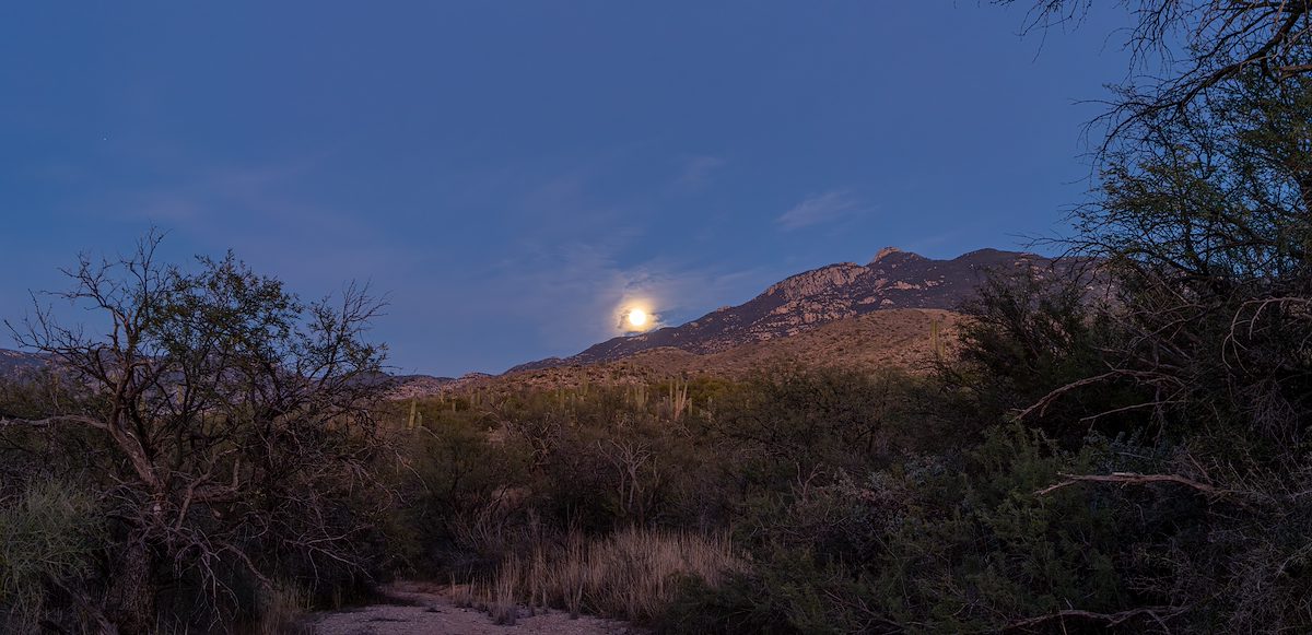 2025 December Moonrise