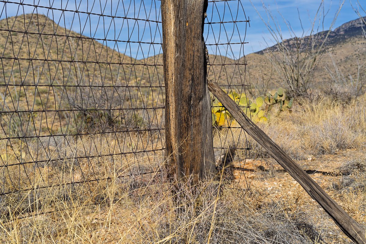 2025 February Old Corral