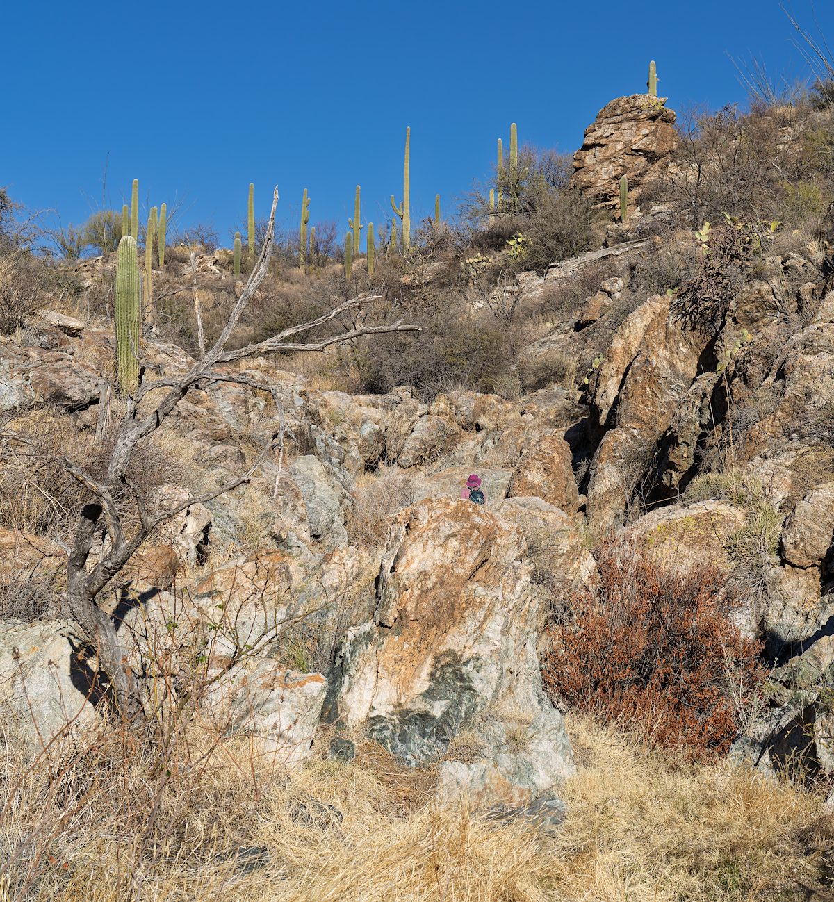 2025 January Canyon Wander