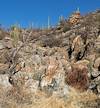 2025 January Canyon Wander