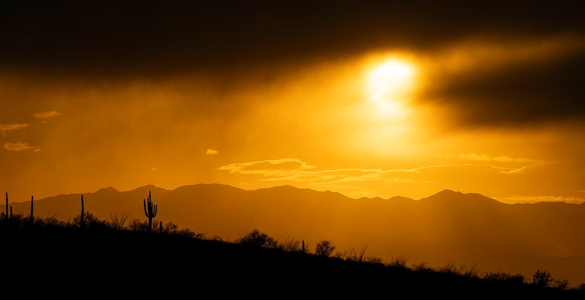 2025 January Sun and Saguaro