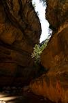 2025 June Light in Ashdown Gorge
