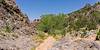 2025 June No Thoroughfare Canyon