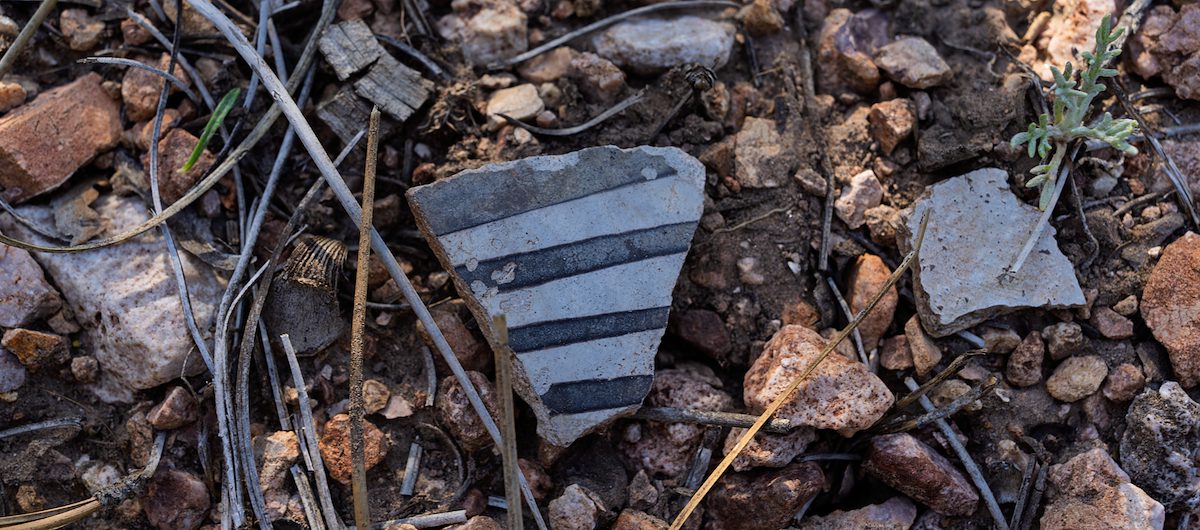 2025 June North Rim Sherds 01