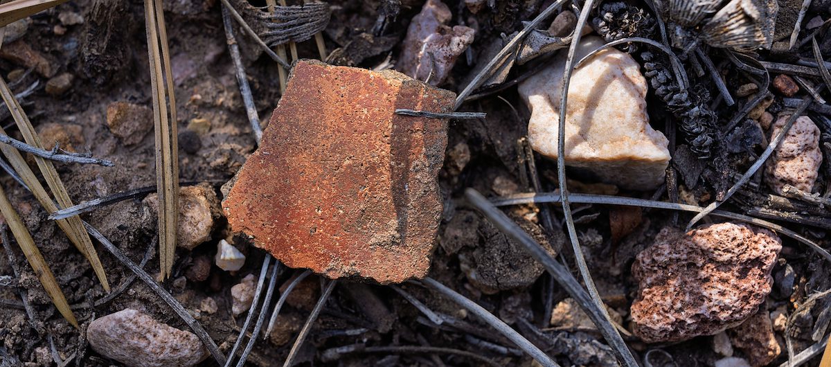 2025 June North Rim Sherds 03