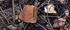 2025 June North Rim Sherds 03