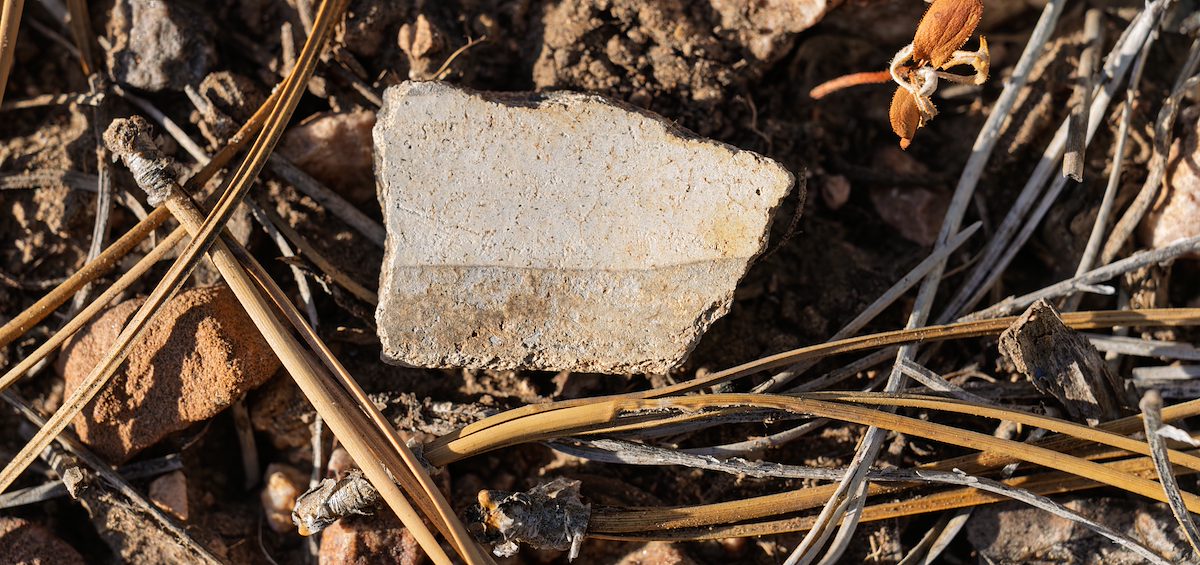 2025 June North Rim Sherds 04