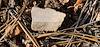 2025 June North Rim Sherds 04