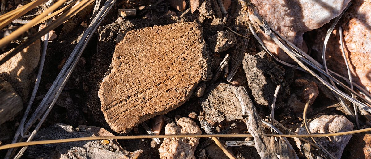 2025 June North Rim Sherds 05