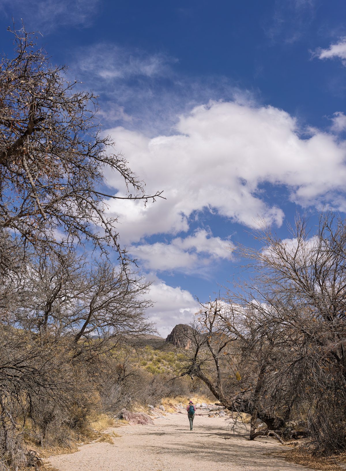 2025 March Agua Verde Creek