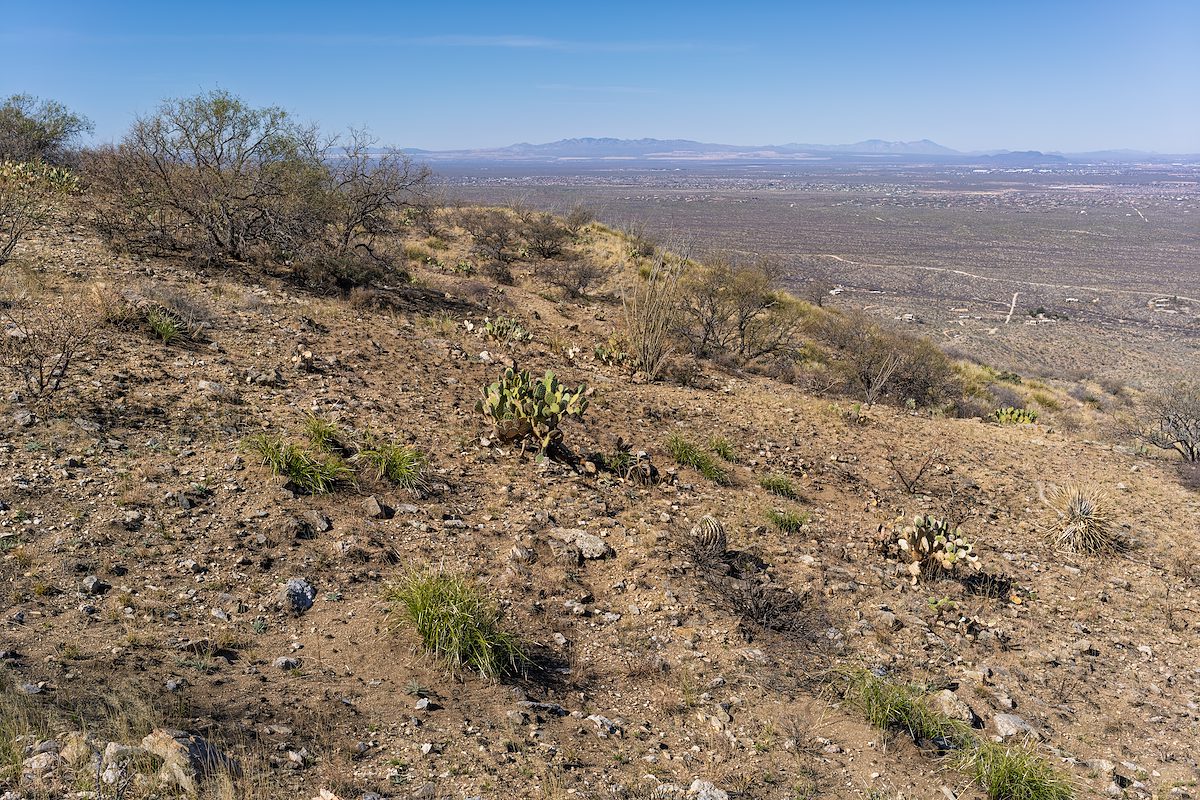 2025 March Fire Cleared