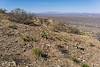 2025 March Fire Cleared