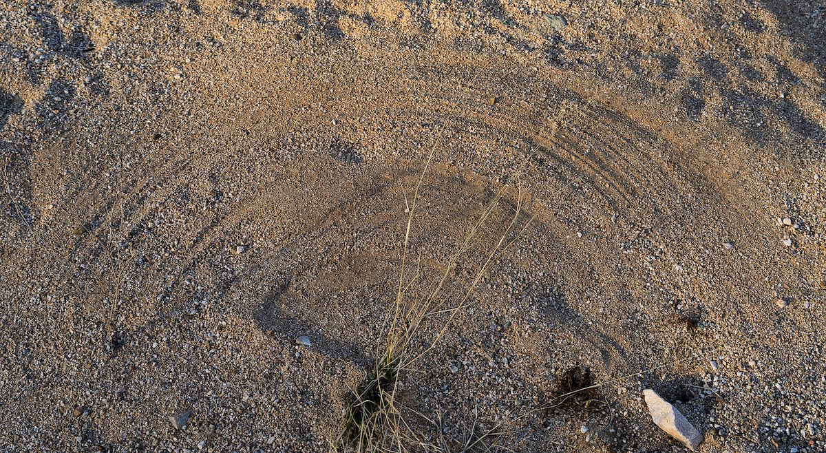 2025 March Pattern