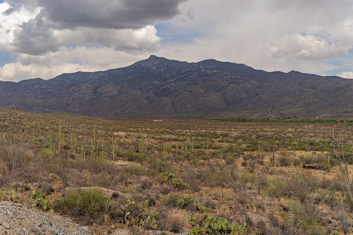 2025 May Rincon Peak and the Rincon Valley