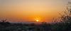 2025 May Sun Against the Tucson Mountains