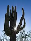 2026 April Giant Holding the Sun