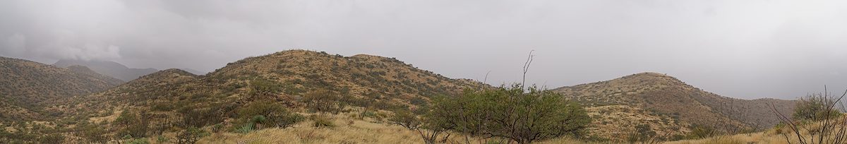 2026 January Home Hills