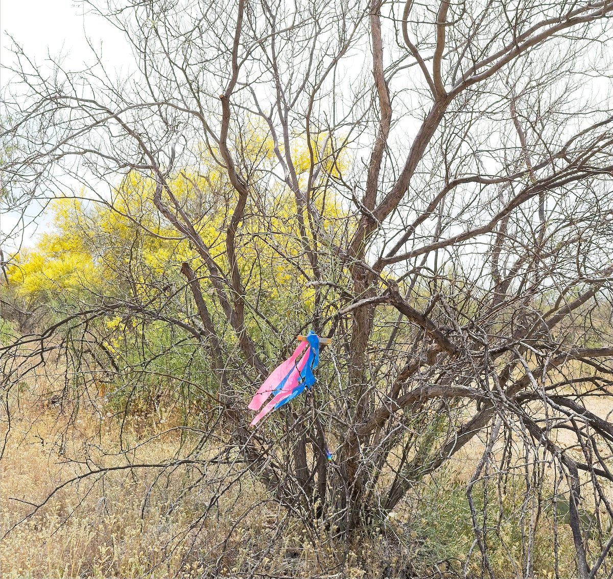 2026 March Arizona Monster 300 Marker on the AZT