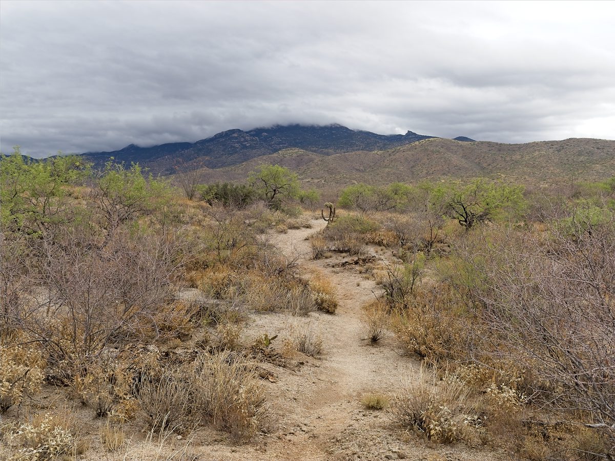 2026 May Cloudy Day on the Trail