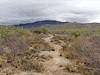 2026 May Cloudy Day on the Trail